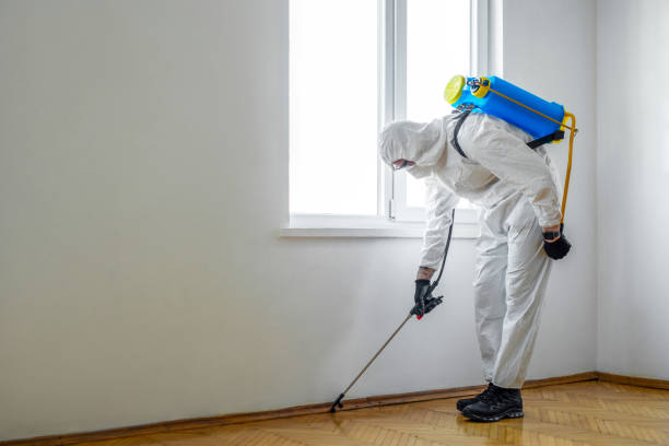 Insect Control in Mckeesport, PA