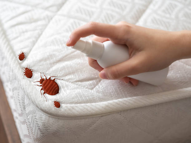 Best Bed Bug Extermination  in Mckeesport, PA